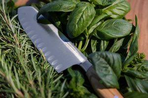 Santoku wusthof knife