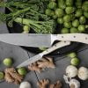 creme chefs knifes set