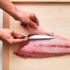 learn how to fillet a fish