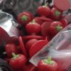 chef button Fun Tomato
